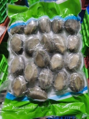 Bào Ngư Y.Fish - Túi 1Kg 18-20 con net 6
