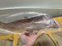 Cá Thác Rút Xương Tẩm Vị - 250g/Con