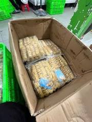 Khoai Tây Lốc Xoáy - Túi 1Kg