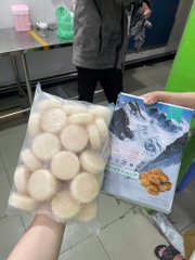 Còi áp chảo 20-25c/kg nét 8 ( còi ép )