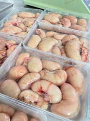 Ngọc Kê Gà Tay - Hộp 500Gr