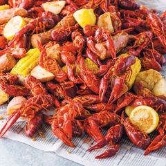 Tôm Hùm Đất - Tôm Crawfish Nhập Khẩu - Túi 2.5Kg