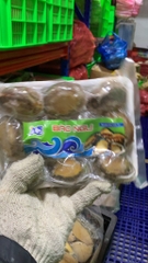 Bào Ngư Hàn Quốc Size 8-10 Con - Túi 500Gr