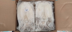 Mực lá 1 nắng bịch 1kg 2 con