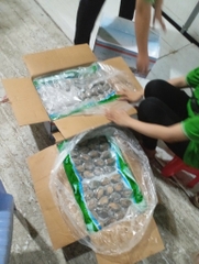 Bào Ngư Y.Fish - Túi 1Kg 18-20 con net 6