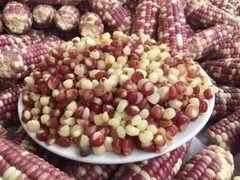 Bắp Bung Điện Biên 1kg