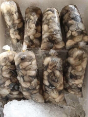 Hào Sữa Tách Vỏ - Túi 500Gr