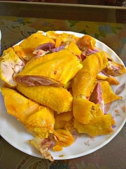 Gà Ta Ủ Muối Nguyên Con (Gà Ta Tam Kỳ)