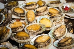 Bào Ngư Hàn Quốc Size 8-10 Con - Túi 500Gr