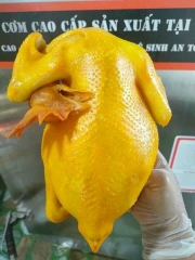 Gà Ta Ủ Muối Nguyên Con (Gà Ta Tam Kỳ)