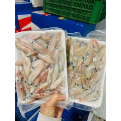 Mực Sữa Mini Tươi Ngon - Túi 1kg