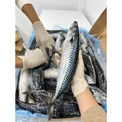 Cá Sapa Nhật - Khay 1kg