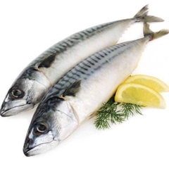 Cá Sapa Nhật - Khay 1kg