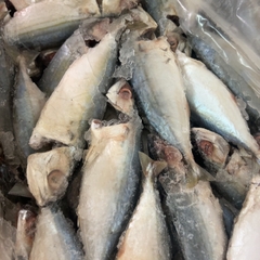Cá Bạc Má Tươi Ngon Làm Sạch Cấp Đông - Khay 1Kg