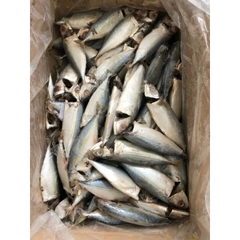 Cá Bạc Má Tươi Ngon Làm Sạch Cấp Đông - Khay 1Kg