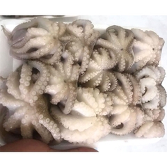 Bạch Tuộc Sữa Baby - Khay 500g