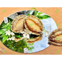 Bào Ngư Y.Fish - Túi 1Kg 18-20 con net 6
