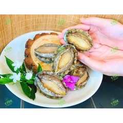 Bào Ngư Y.Fish - Túi 1Kg 18-20 con net 6