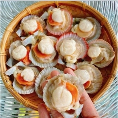 SÒ ĐIỆP TÁCH NỬA MẢNH bịch 1kg