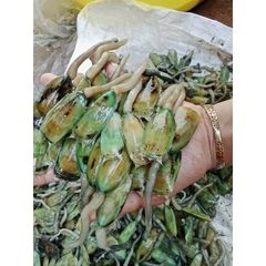 MẮM CÀ XỈU hủ 500g hot hit