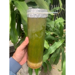 Heo rừng núp ống tre ống nặng khoản 700g thịt 300g