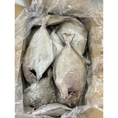 Cá Chim tươi cấp đông 1kg hút chân không