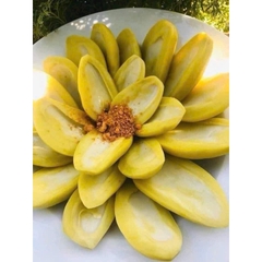 XOÀI NGÂM CHUA NGỌT hủ 500g