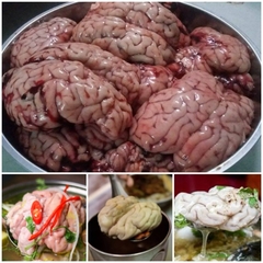 Ốc Bò 1 túi khoản 400g gần 2 bộ ốc To tươi cấp đông
