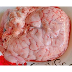 Ốc Bò 1 túi khoản 400g gần 2 bộ ốc To tươi cấp đông