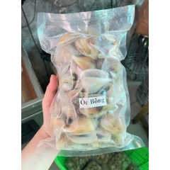 Ốc Nhảy size 40-60 con 1kg