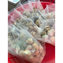 Ốc Nhảy size 40-60 con 1kg
