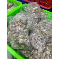 Ốc Bông size 100-200 con 1kg