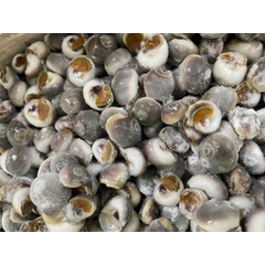 Ốc Mỡ size 200 con 1kg