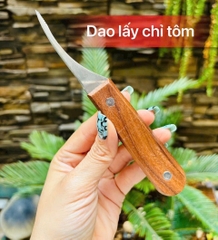 DAO LẤY CHỈ TÔM