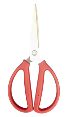 KÉO ĐỎ CẮT XƯƠNG