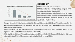 Mặt Nạ Cao Cấp Nano NMN+3D Face Mask