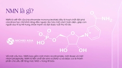Bột Uống Nano NMN+ Collagen 88000