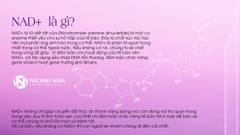 Bột Uống Nano NMN+ Collagen 88000
