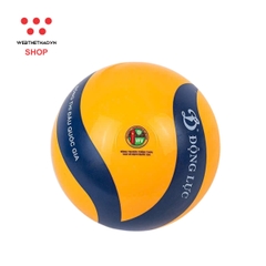 Bóng Chuyền hơi hoa xoáy thi đấu Động Lực DL250 - Hàng Chính Hãng