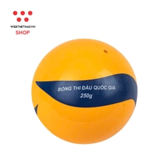 Bóng Chuyền hơi hoa xoáy thi đấu Động Lực DL250 - Hàng Chính Hãng