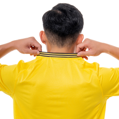 Áo thi đấu (bản FAN) đội tuyển quốc gia Việt Nam 2024 "Vàng" MJ-AJ1297-04 - Hàng Chính Hãng