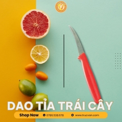 Dao tỉa trái cây