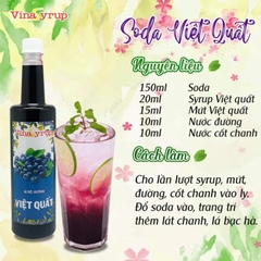 ViNa SyRup Việt Quất 750ml