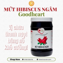 Mứt Good Heart Hibiscus ngâm 1kg