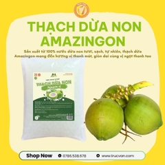 Thạch Dừa non nguyên vị Amazingon