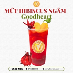 Mứt Good Heart Hibiscus ngâm 1kg