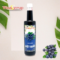 ViNa SyRup Việt Quất 750ml