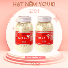 YOUKI Hộp hạt nêm 520g