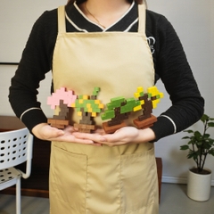 p5 - Bộ Lắp Ghép 4 Hoa Việt Nam (S13)