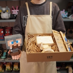 (DIY) Kit Tô Màu Minecraft Steve 2